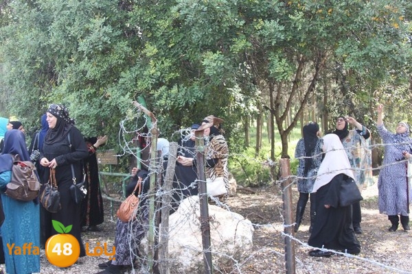 3emwas 0319 (72).JPG